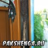 ltn_pakshenga-02_ 